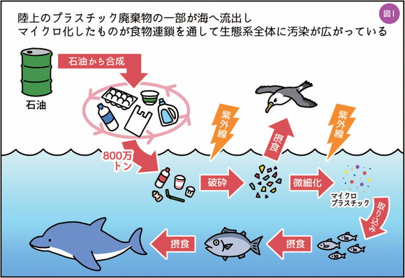 クローン病とは何ですか?